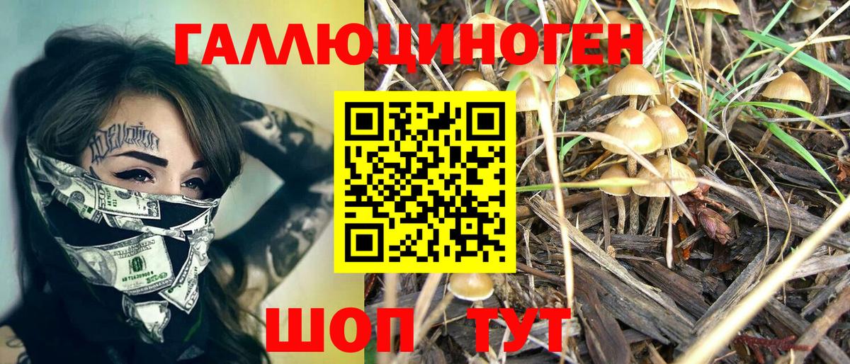 Мичуринск  Псилоцибиновые грибы ЛСД  Вход с VPN 